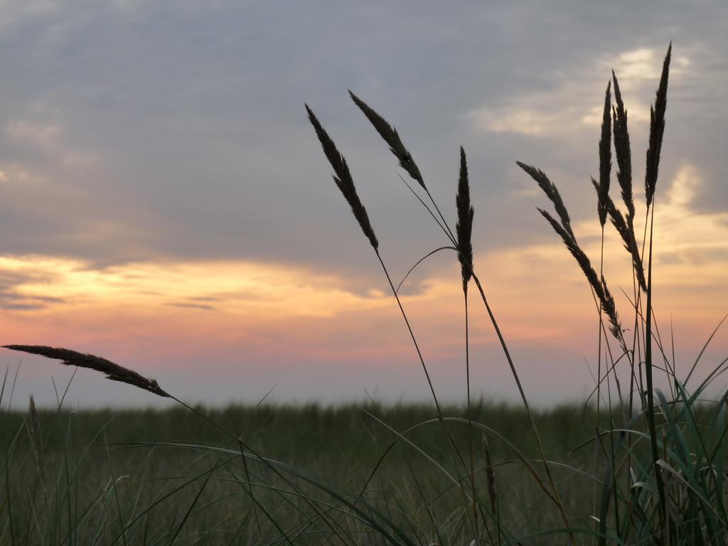Apartmán Residenz Lausitz Graal-Mueritz Exteriér fotografie
